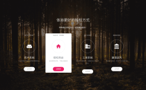 PHP域名授权系统网站源码/授权管理工单系统/精美UI/附教程