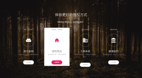 PHP域名授权系统网站源码/授权管理工单系统/精美UI/附教程