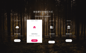 PHP域名授权系统网站源码/授权管理工单系统/精美UI/附教程