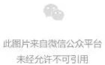 新秀编程语言大 PK