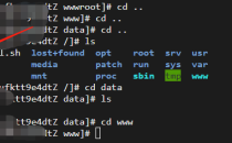 阿里云服务器挂载data数据盘后安装程序到数据盘