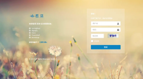 基于SpringBoot开发的轻量级Java快速开发框架若依