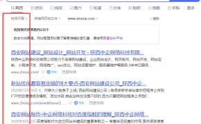 为什么我的网站site域名时不出图 收录内容没有图片