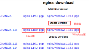 Linux系统安装与配置Nginx服务器
