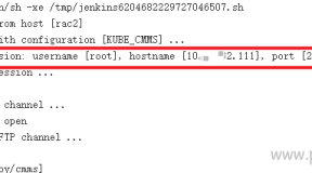 jenkins构建Build step ‘Send build artifacts over SSH’ changed build result to UNSTABLE解决办法