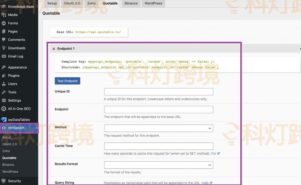 如何在WordPress中集成API?