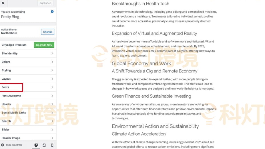 WordPress字体设置 WordPress怎么改字体？