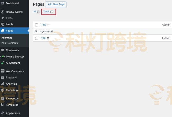 WordPress新建页面教程