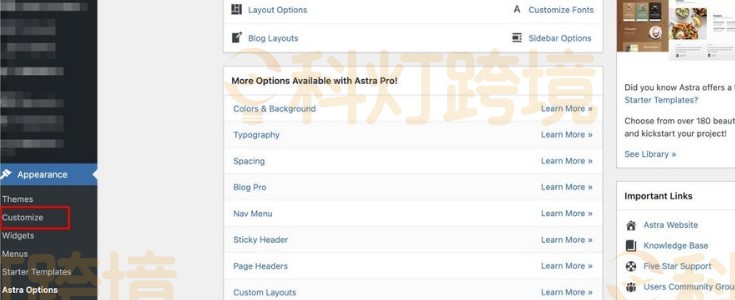 WordPress网站模板Astra快速搭建网站入门教程