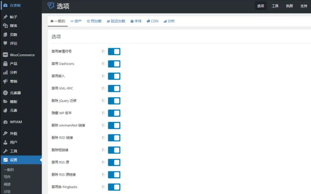 WordPress性能优化插件Perfmatters使用指南