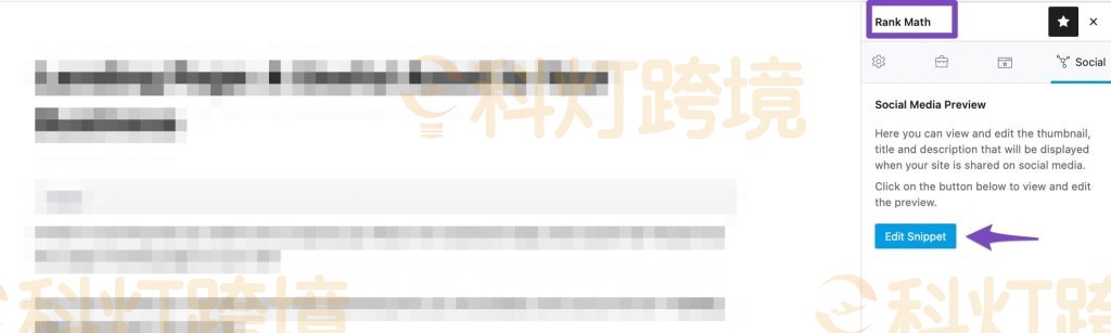 Rank Math教程:如何分析网站SEO?