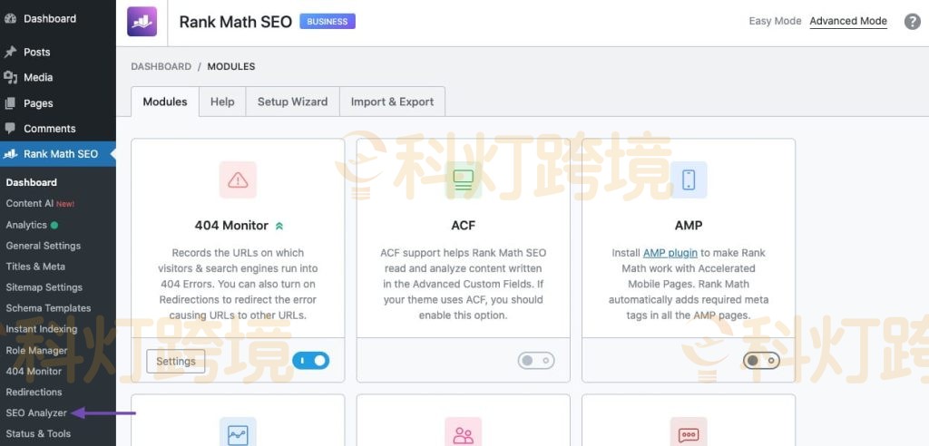 Rank Math教程：如何分析网站SEO？