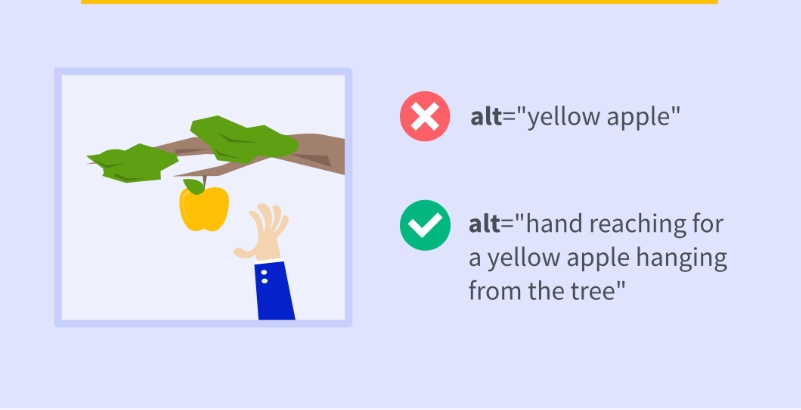 图像替代文本什么意思 作用是什么 怎么弄
