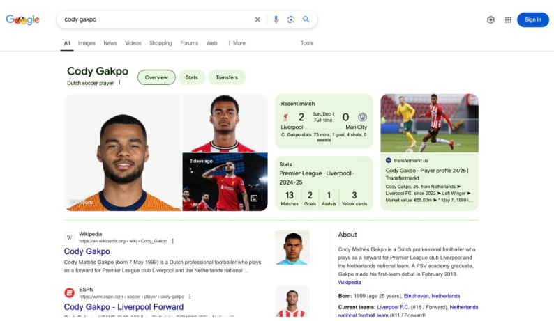 谷歌SERP是什么及功能介绍