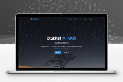 SEO站群系统源码 免授权版 单页关键词排名网站源码