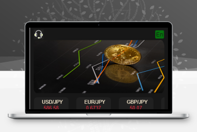 MIZLHO多语言外汇系统源码/前端html+后端PHP