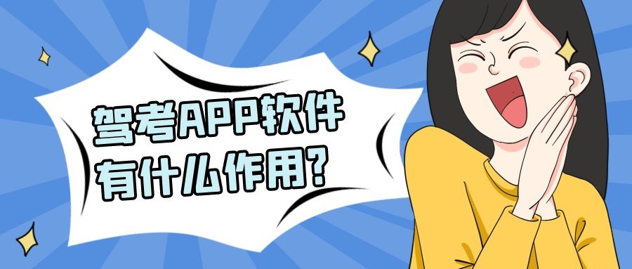 驾考APP开发实际费用报价是多少？