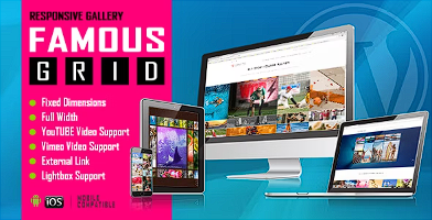 Famous – 响应式图像和视频网格库 WordPress 插件源代码
