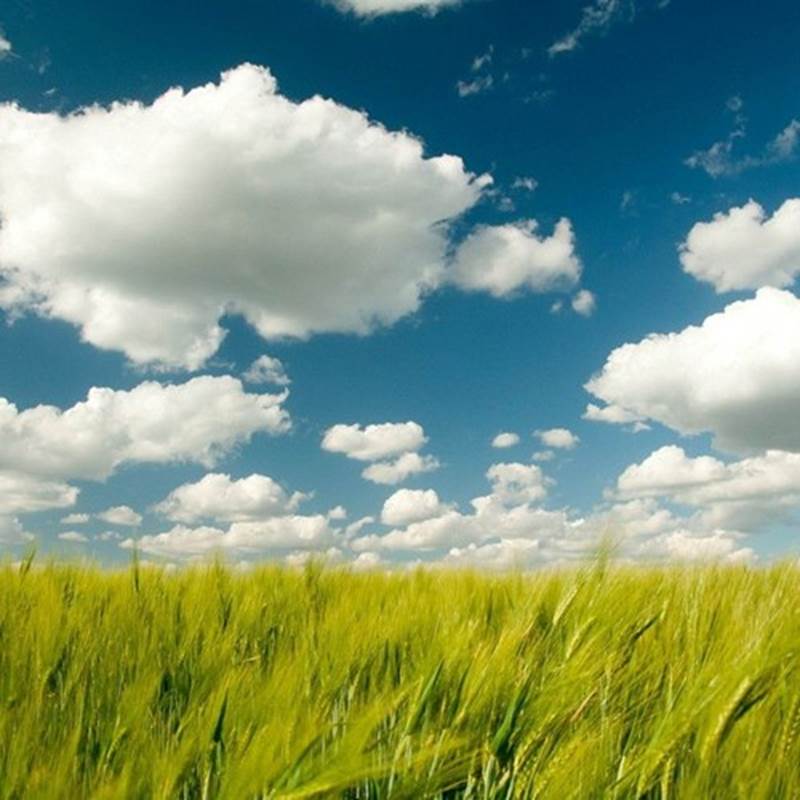 云计算：对您意味着什么源代码