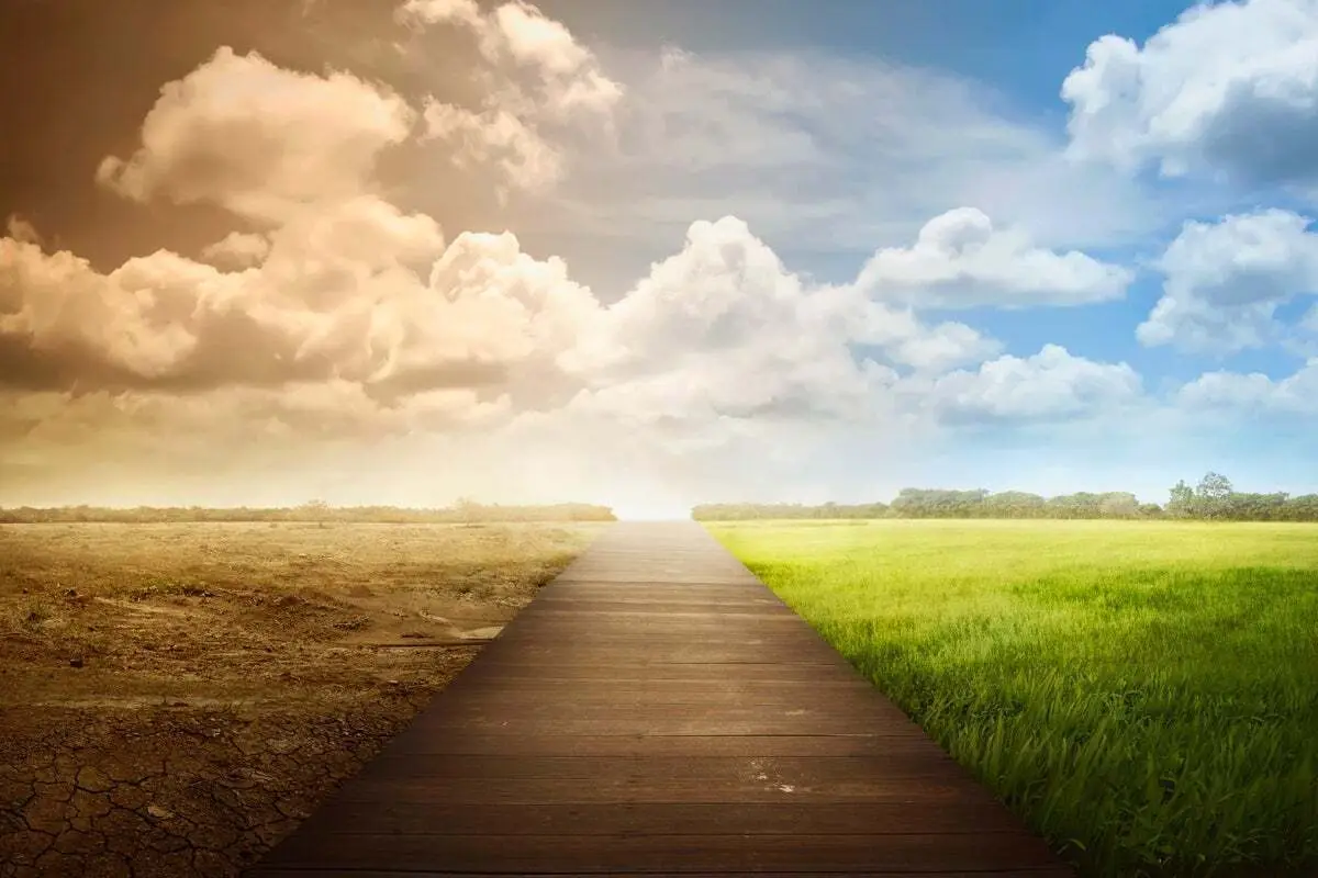 努力在未来的工作中取得更好的平衡源代码