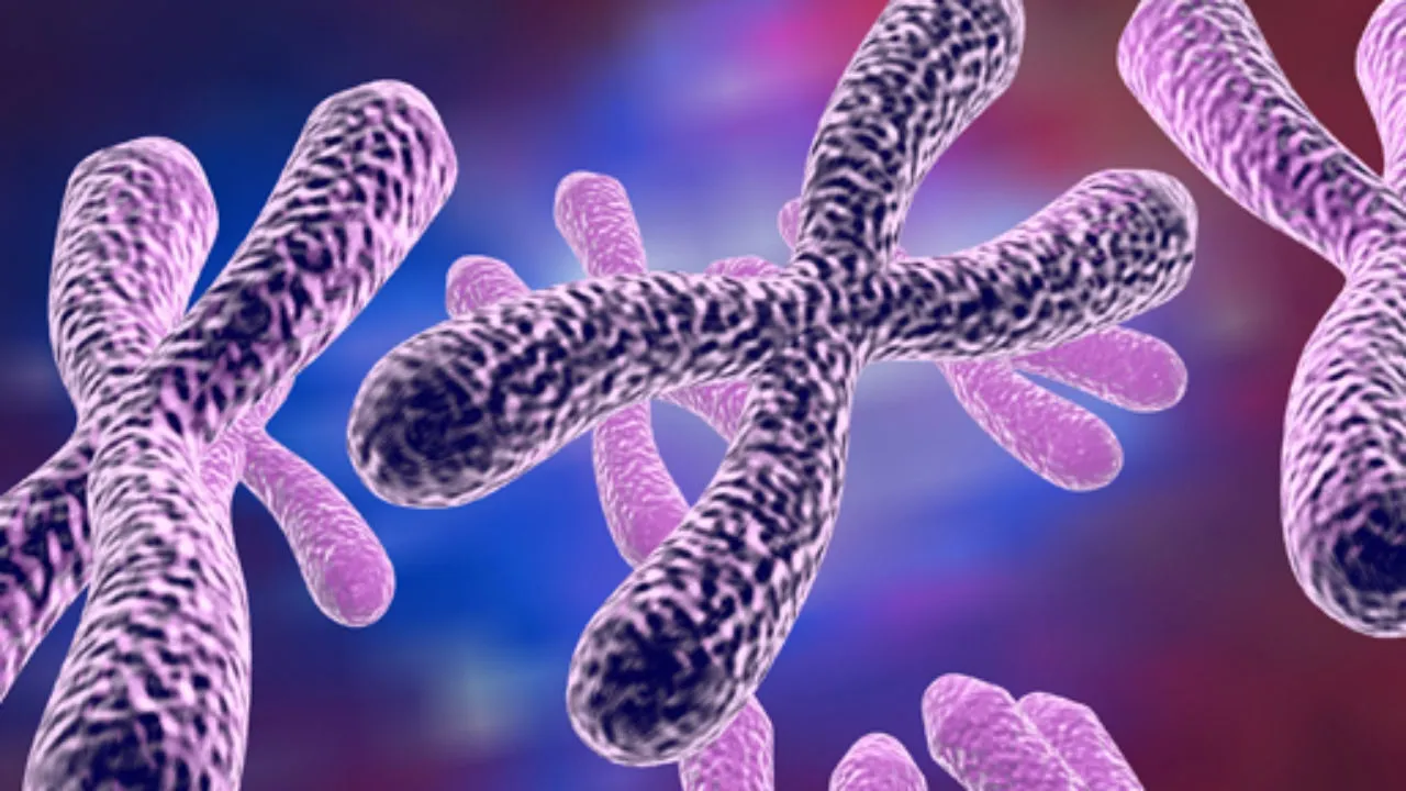 人工智能是否找到了治疗脆性 X 的方法