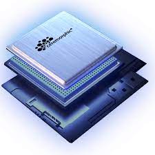 人工智能芯片初创公司 Ceremorphic 走出隐身模式