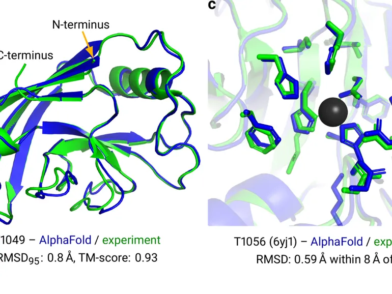 DeepMind 的 AlphaFold 2 揭示：卷积消失，注意力出现