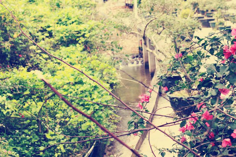 这几大专业市场饱和，被称为烂大街，非名校不建议报考