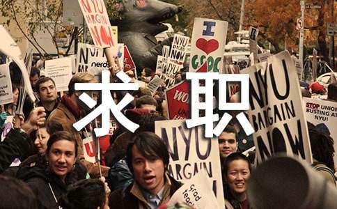 探索 15 篇软件开发求职信的精彩内容