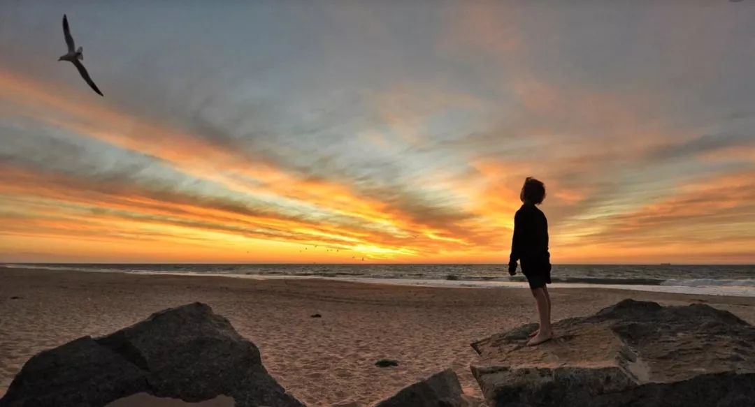 反对盗版软件开发芯片被开除公司回应 腾讯游戏崩溃美团AI收购闹剧