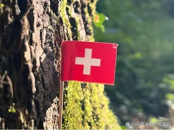 北京急救培训app开发：掌上培训与智能救援解决方案