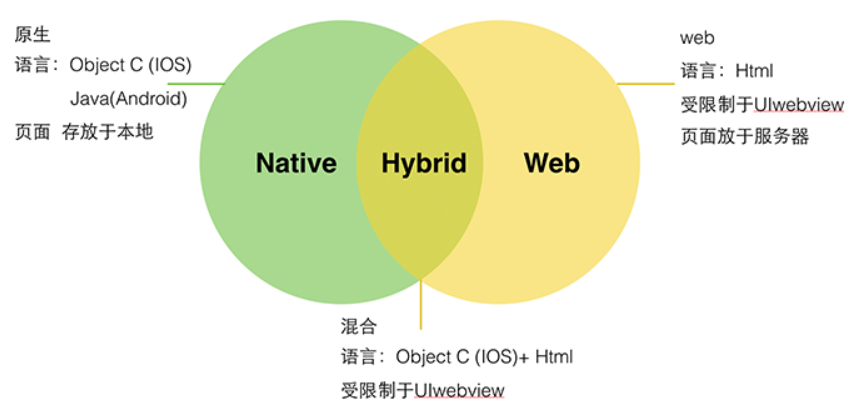 探索当前主流的App开发方式及其未来发展趋势