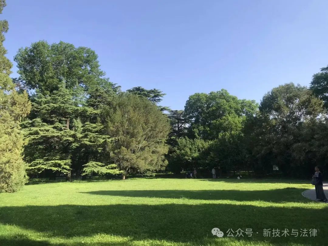 计算机软件开发合同常见法律问题及详细解答指南