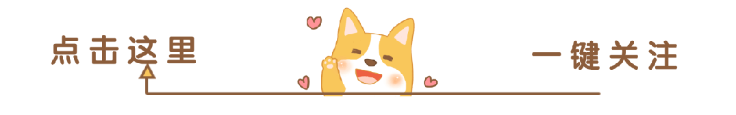 Docker：引领容器化革命的革命性工具