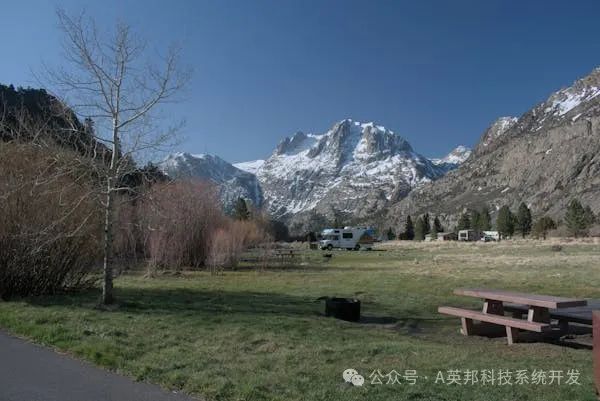 创业秘籍：0元打造专属商城APP，轻松实现老板梦