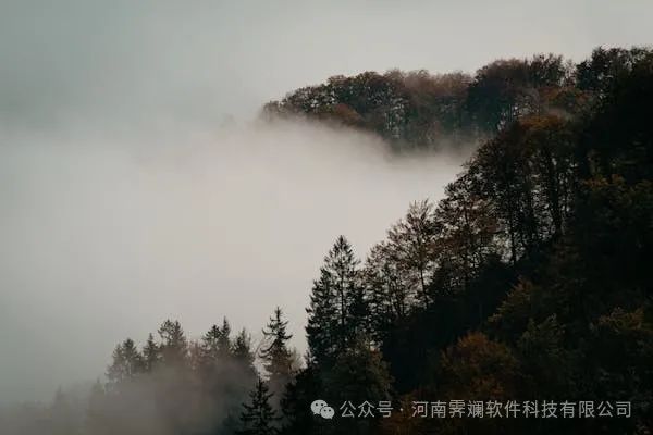 淘客APP开发全攻略：成本分析、制作流程详解与成功秘诀揭秘