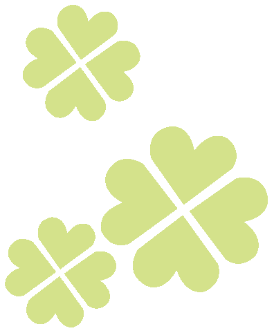 想学网站开发？测测你是前端大神还是后端王者