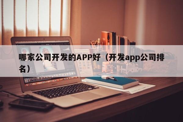 2023年最佳APP开发公司排名及选择指南