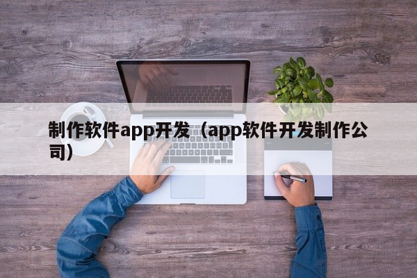 专业软件APP开发制作公司，提供定制化APP软件开发服务