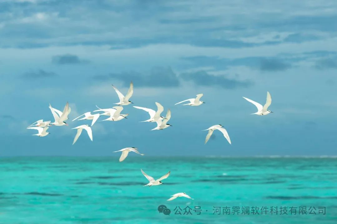 淘客APP开发全攻略：创业必备，打造专属电商导购平台指南