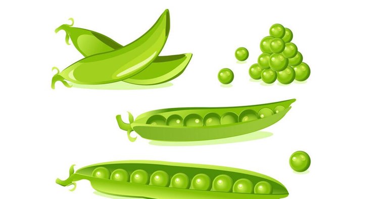 应用商店上架费用详解：了解各大平台的上架成本