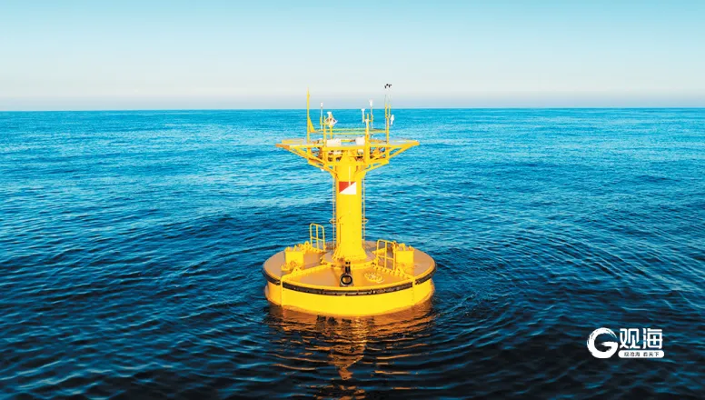 青岛未来之网：在蔚蓝大海上编织创新与发展的新篇章