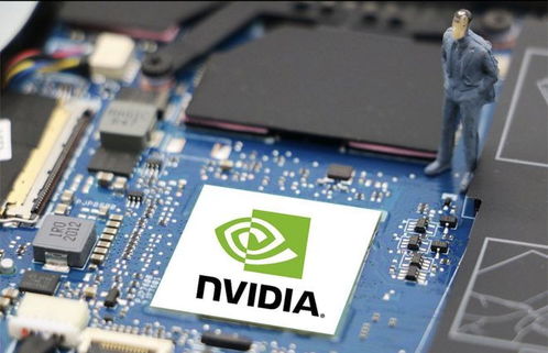 如何通过测试数据和对比分析评估不同类型显卡的性能