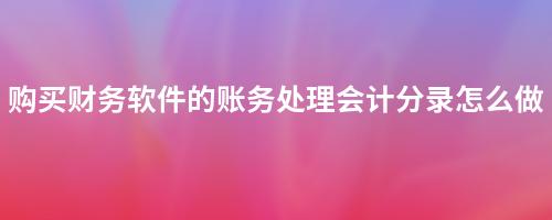 购买财务软件的账务处理会计分录详解及操作步骤