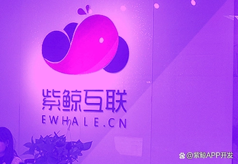 软件开发中必须明确的五大原则问题及其重要性解析