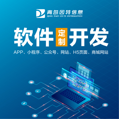 聊城市专业软件定制开发公司：交通管理系统软件开发服务