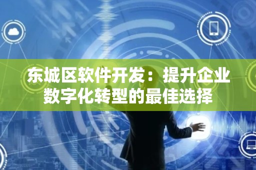怀柔区软件开发服务：助力企业高效实现数字化转型的优选方案