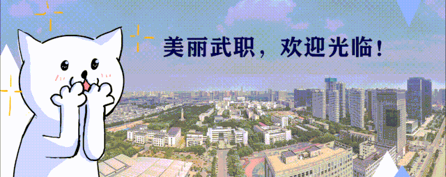 软件技术专业详细介绍：课程设置、就业前景及发展方向