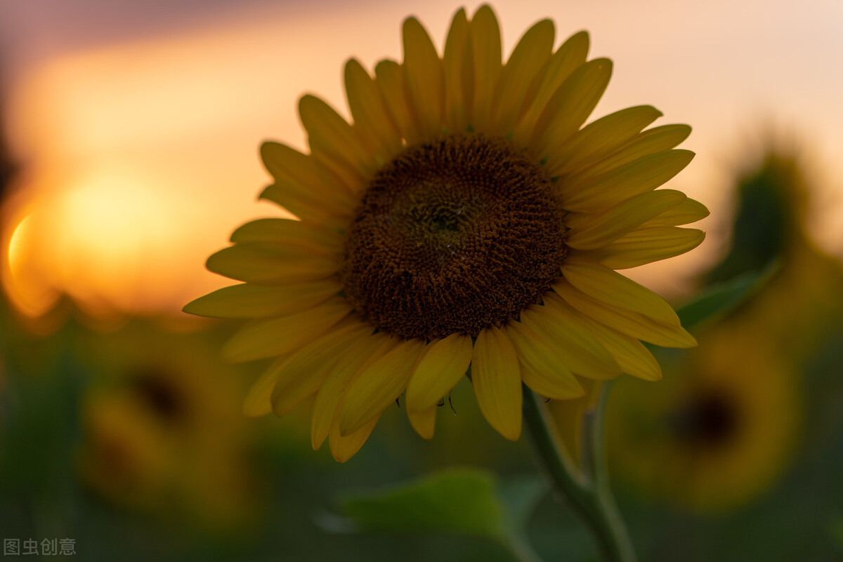 毕业后找不到好工作,培训软件开发可行吗?