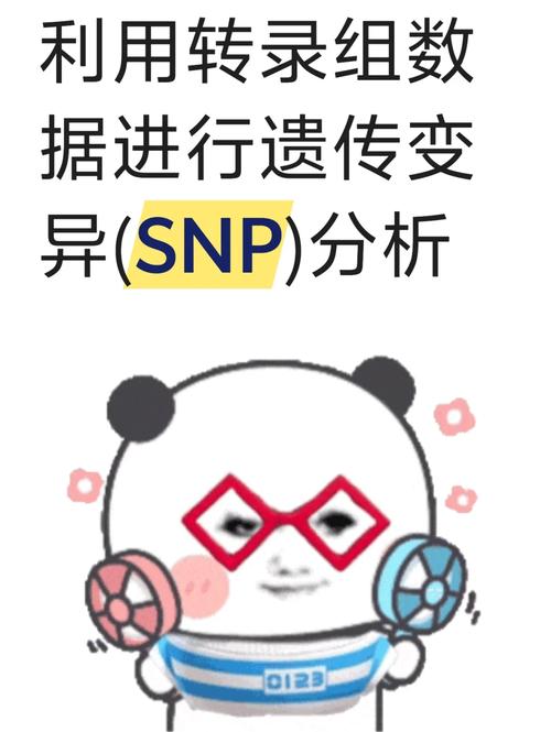 基因组分析：从数据获取到质控，探秘生物遗传核心力量